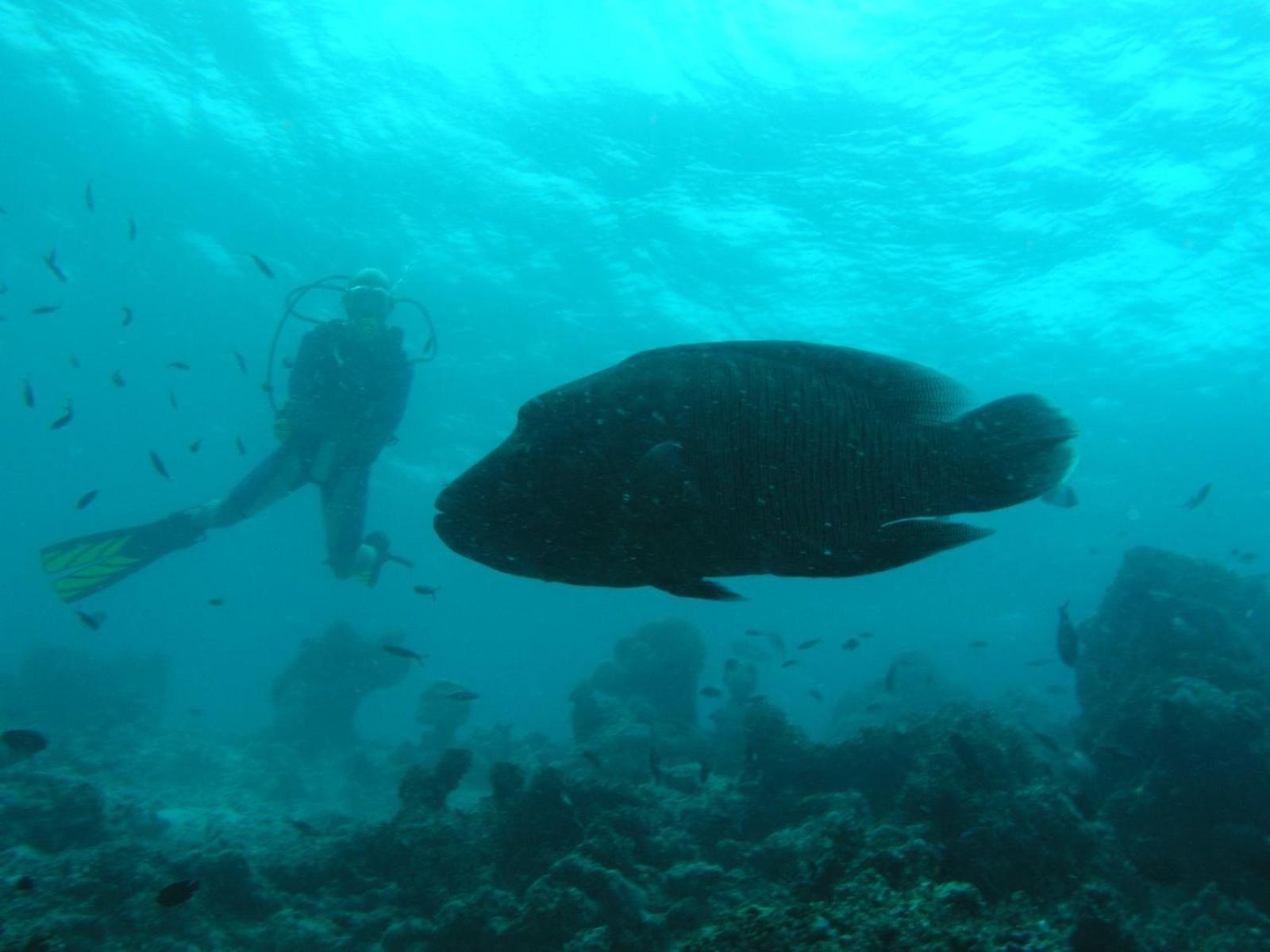 Suffix Retreat - Stay, Dive & Explore Fuvahmulah المظهر الخارجي الصورة