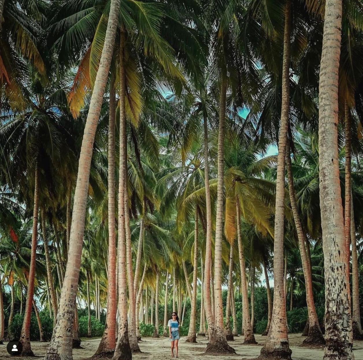 Suffix Retreat - Stay, Dive & Explore Fuvahmulah المظهر الخارجي الصورة